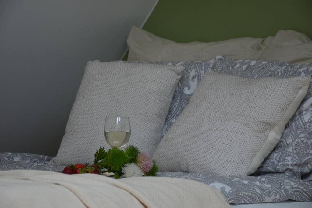 Ines Apartament Two Levels 105M2 In The Old Town Wi-Fi, Olsztyn  Buitenkant foto